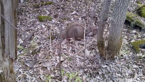 Spring 2014 Hike - Old-Farm-Handed-Back-To-Nature19.jpg