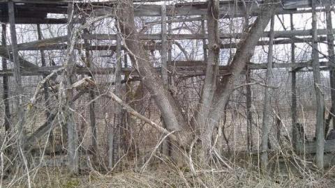 Photo from Spring 2014 Hike