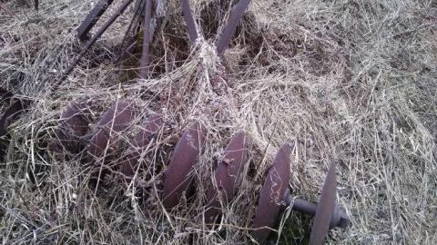 Photo from Spring 2014 Hike