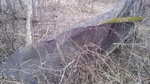 Spring 2014 Hike - Old-Farm-Handed-Back-To-Nature11.jpg