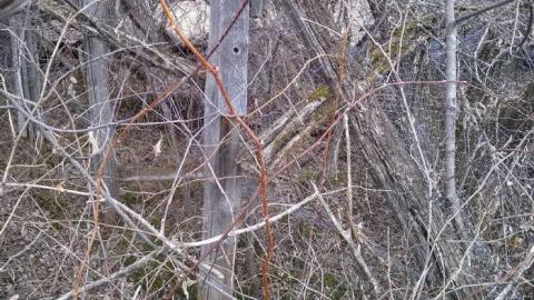 Spring 2014 Hike - Old-Farm-Handed-Back-To-Nature17.jpg