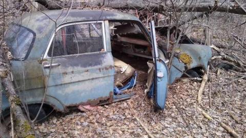 Spring 2014 Hike - Old-Farm-Handed-Back-To-Nature12.jpg