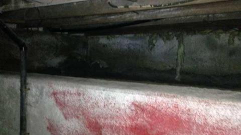 June 24 2014 - Jeremiahs-Field256.jpg