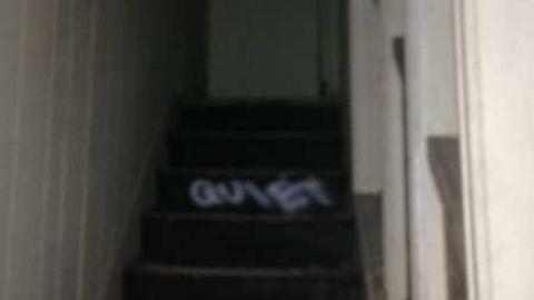 June 24 2014 - Jeremiahs-Field258.jpg