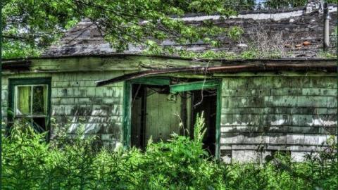 The Beach House photo 4