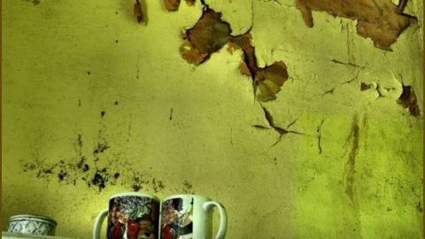 Re-Upload - The Beach House 21.jpg