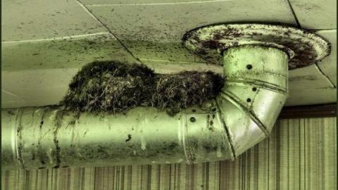 Re-Upload - The Beach House 33.jpg