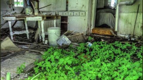 Re-Upload - The Beach House 34.jpg