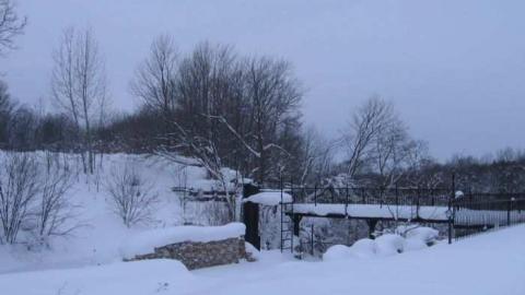 Walters Falls - By-the-Falls8.jpg