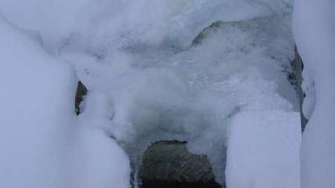 Walters Falls - By-the-Falls13.jpg