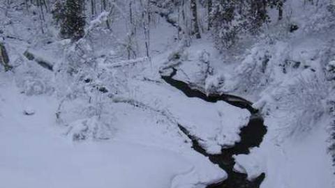 Walters Falls - By-the-Falls15.jpg