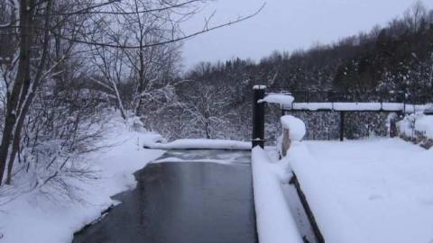 Walters Falls - By-the-Falls16.jpg