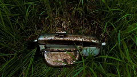 Pardee Boat House - Pardee-Boat-Homestead5.jpg