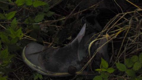 Pardee Boat House - Pardee-Boat-Homestead6.jpg