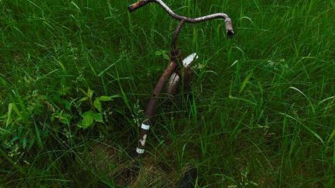 Pardee Boat House - Pardee-Boat-Homestead8.jpg