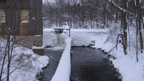 Walters Falls - By-the-Falls17.jpg