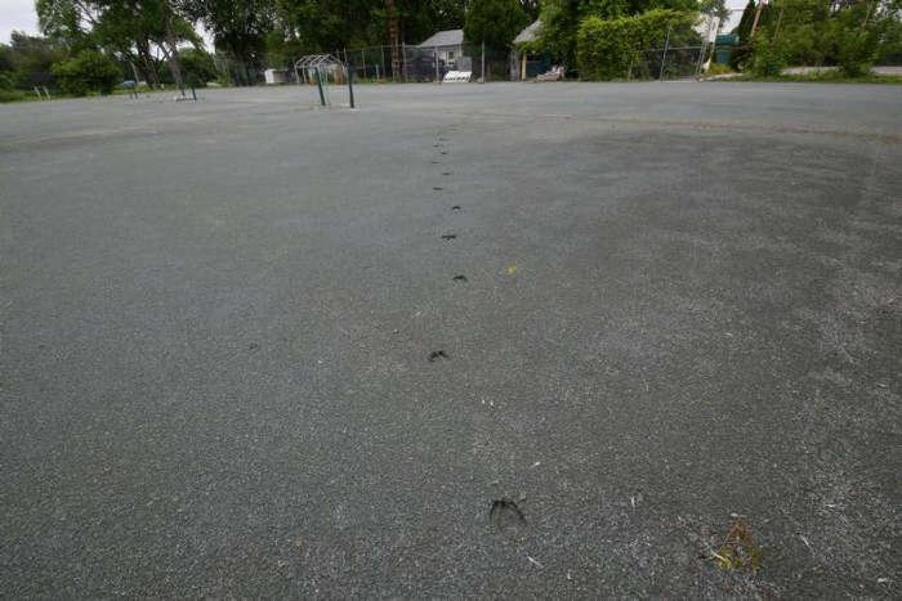 Fitness Compound - DSC_0027.jpg