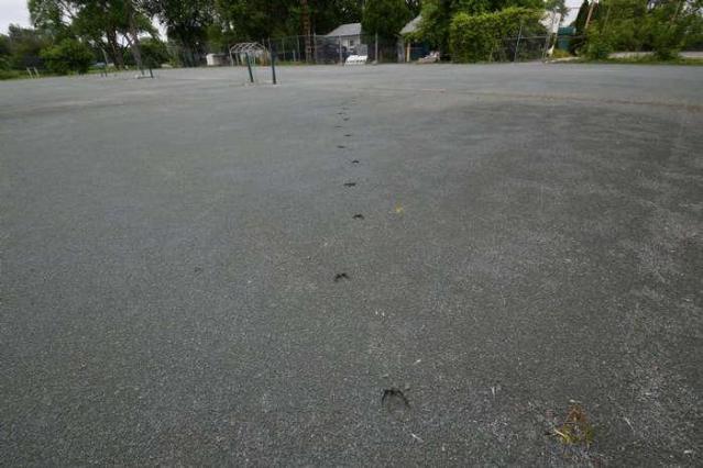 Fitness Compound - DSC_0027.jpg