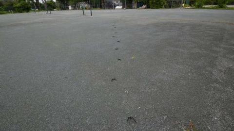 Fitness Compound - DSC_0027.jpg