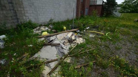 June 2014 - DSC_0012.jpg