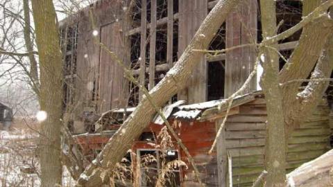 Nash Road Winter Assorted photo 5