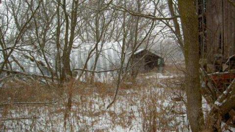 Christmas Moss on Nash - Nash-Road-Winter-Assorted2.jpg