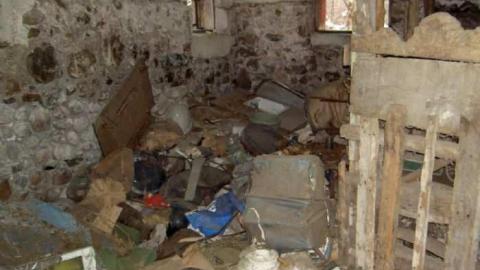 Nash Road Winter Assorted - Clarington, Ontario