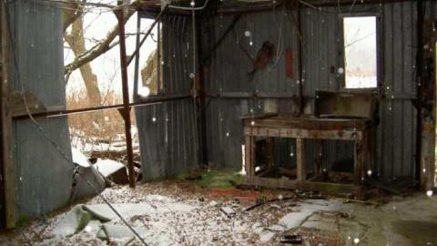 Christmas Moss on Nash - Nash-Road-Winter-Assorted5.jpg