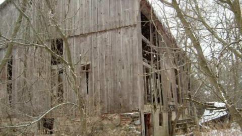 Christmas Moss on Nash - Nash-Road-Winter-Assorted7.jpg