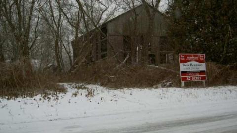 Christmas Moss on Nash - Nash-Road-Winter-Assorted8.jpg