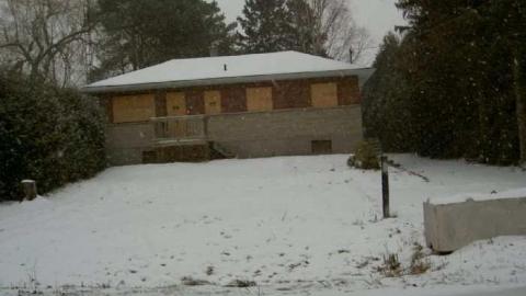 Christmas Moss on Nash - Nash-Road-Winter-Assorted9.jpg