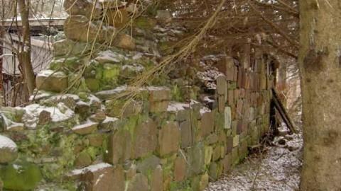 Nash Road Winter Assorted photo 3