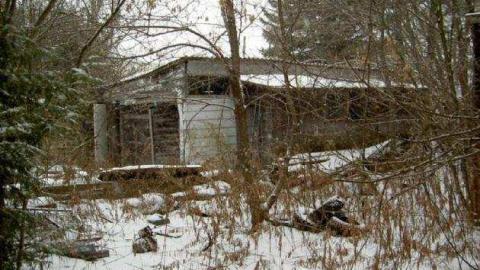 Christmas Moss on Nash - Nash-Road-Winter-Assorted13.jpg