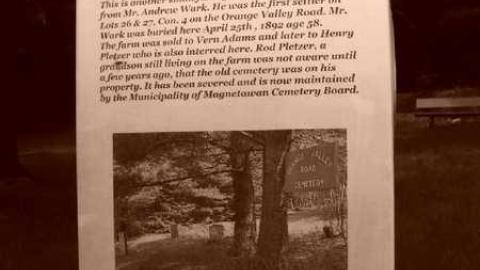 Photo from Orange with bugs