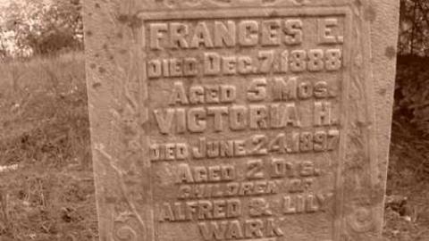 Orange with bugs - Orange-Valley-Road-Cemetery10.jpg