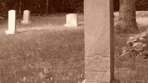 Photo from Orange with bugs