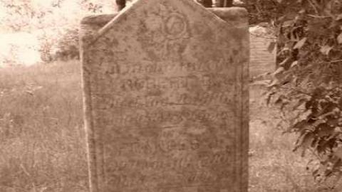 Orange with bugs - Orange-Valley-Road-Cemetery11.jpg