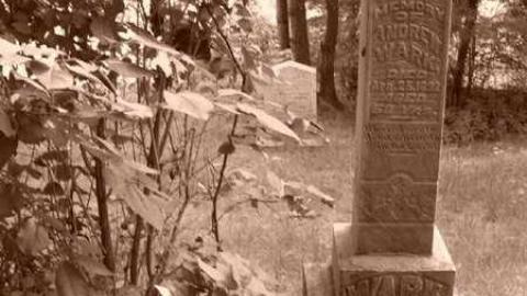 Orange with bugs - Orange-Valley-Road-Cemetery17.jpg