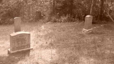 Photo from Orange with bugs