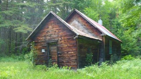 Photo from Porcupine Delight