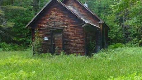 Photo from Porcupine Delight