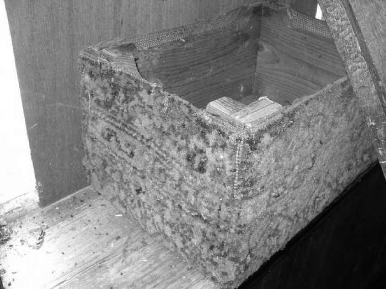 St. Stephen's - Broadbent-Church-and-Cemetery35.jpg