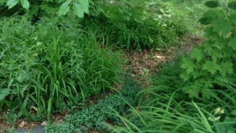 Wonderland Gardens Pool - Wonderland-Gardens-Swimming-Pool5.jpg