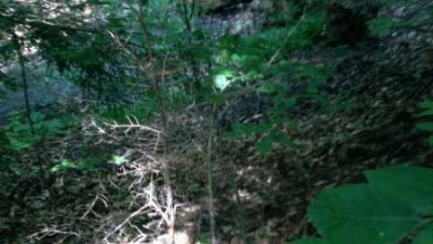 Wonderland Gardens Pool - Wonderland-Gardens-Swimming-Pool6.jpg