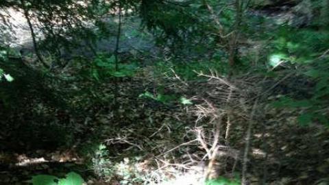 Wonderland Gardens Swimming Pool photo 2