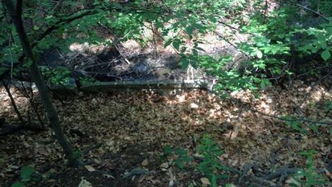 Wonderland Gardens Swimming Pool - London, Ontario