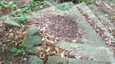 Wonderland Gardens Pool - Wonderland-Gardens-Swimming-Pool10.jpg