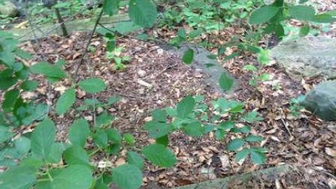 Wonderland Gardens Pool - Wonderland-Gardens-Swimming-Pool11.jpg