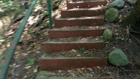 Wonderland Gardens Swimming Pool photo 3