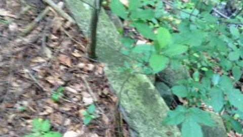 Wonderland Gardens Pool - Wonderland-Gardens-Swimming-Pool13.jpg